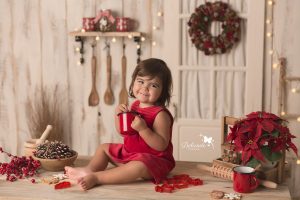 Lee más sobre el artículo Navidad 2019 – Mini sesiones navideñas