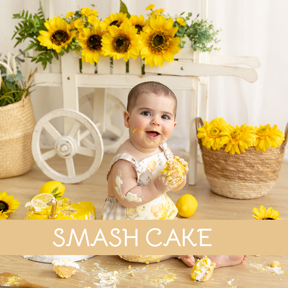 SMASH CAKE